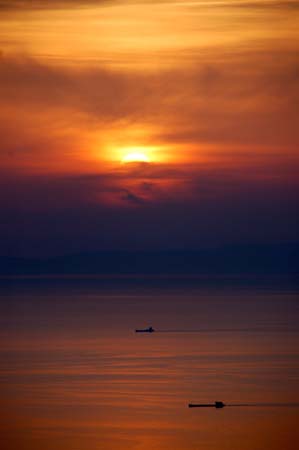 img (24)