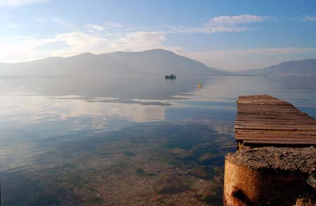 img (44)