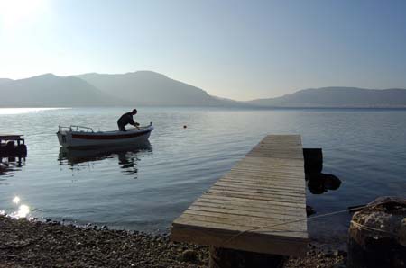 img (45)