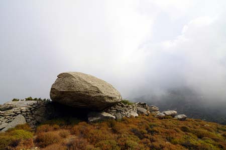 img (52)
