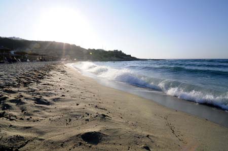 img (55)