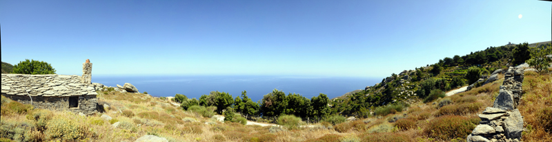 panoramic (1)